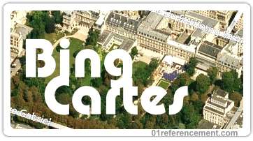 Cartes Bing