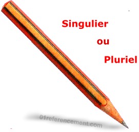external image singulier-pluriel.jpg