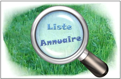 http://www.01referencement.com/images/liste-annuaire.jpg