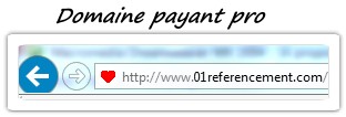 Nom de domaine payant pro