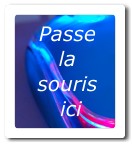 Tu vois le texte s'affiche en passant la souris