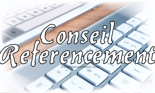 Conseil referencement site Internet