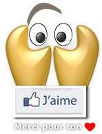 Image du bouton j'aime de Facebook