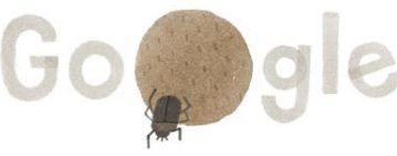 Le bousier de Google