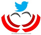 Twitter en image avec oiseau