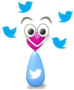 Image des petits oiseaux de Twitter