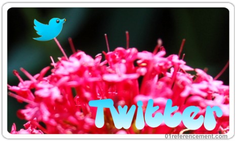 Twitter avec son petit oiseau bleu