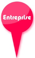 Les entreprises