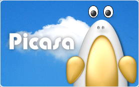 Logo outil picasa de Google