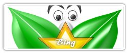 Image outil de recherche bing