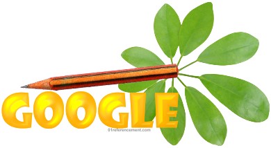 Google avec une fleur et crayon gris