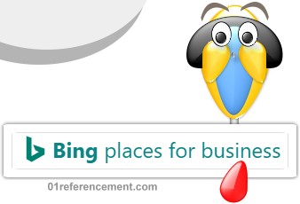 Bing place for business