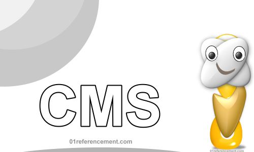 CMS - Agence de referencement