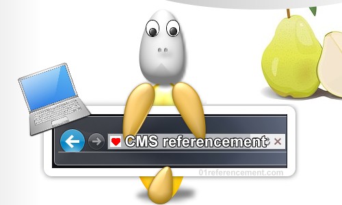 referencement site Wordpress