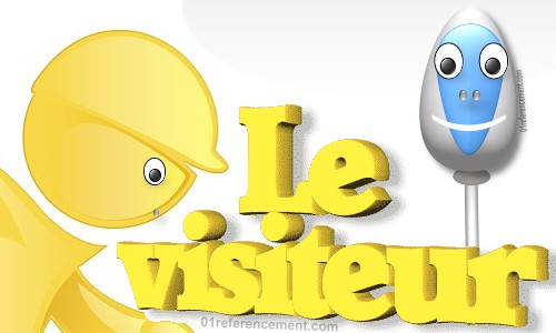 Le visiteur - SEO referencement