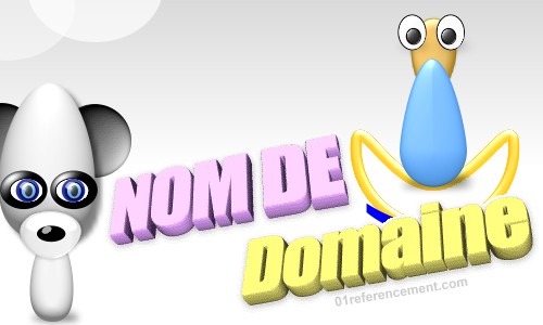 nom domaine et bonhomme