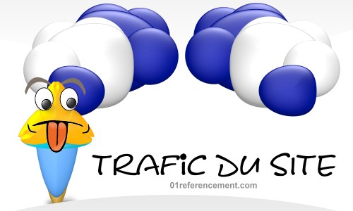 Trafic du site Internet